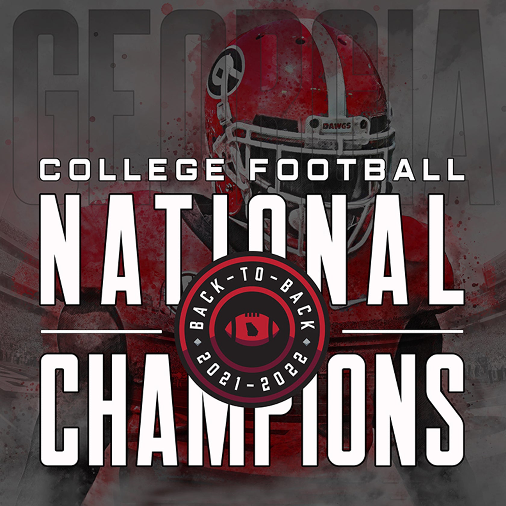 Georgia Bulldogs - Football National Champions