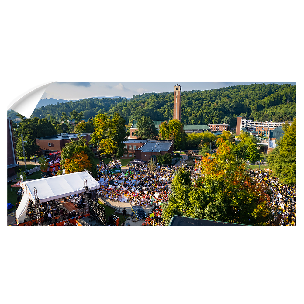 Appalachian State Mountaineers - Game Day Aerial Panoramic - College Wall Art #Wall Decal