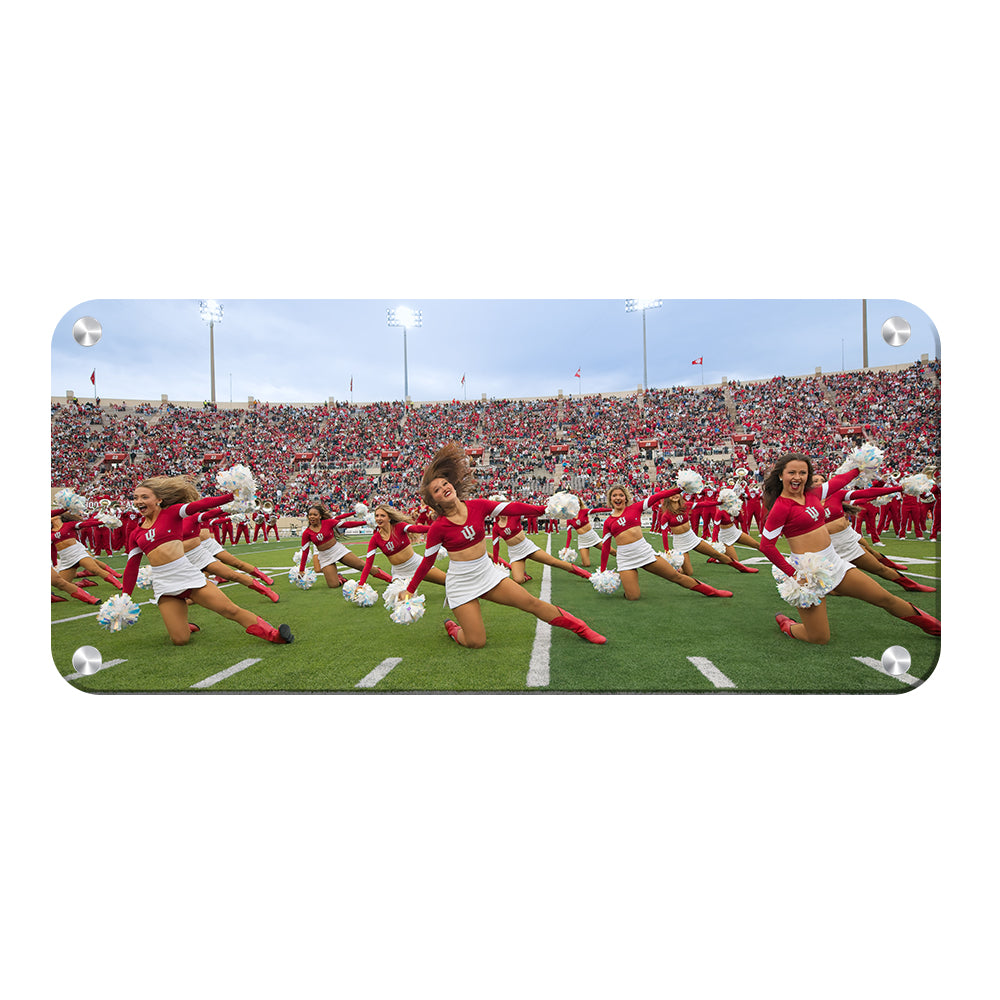 Indiana Hoosiers - Indiana Red Steppers - College Wall Art #Metal