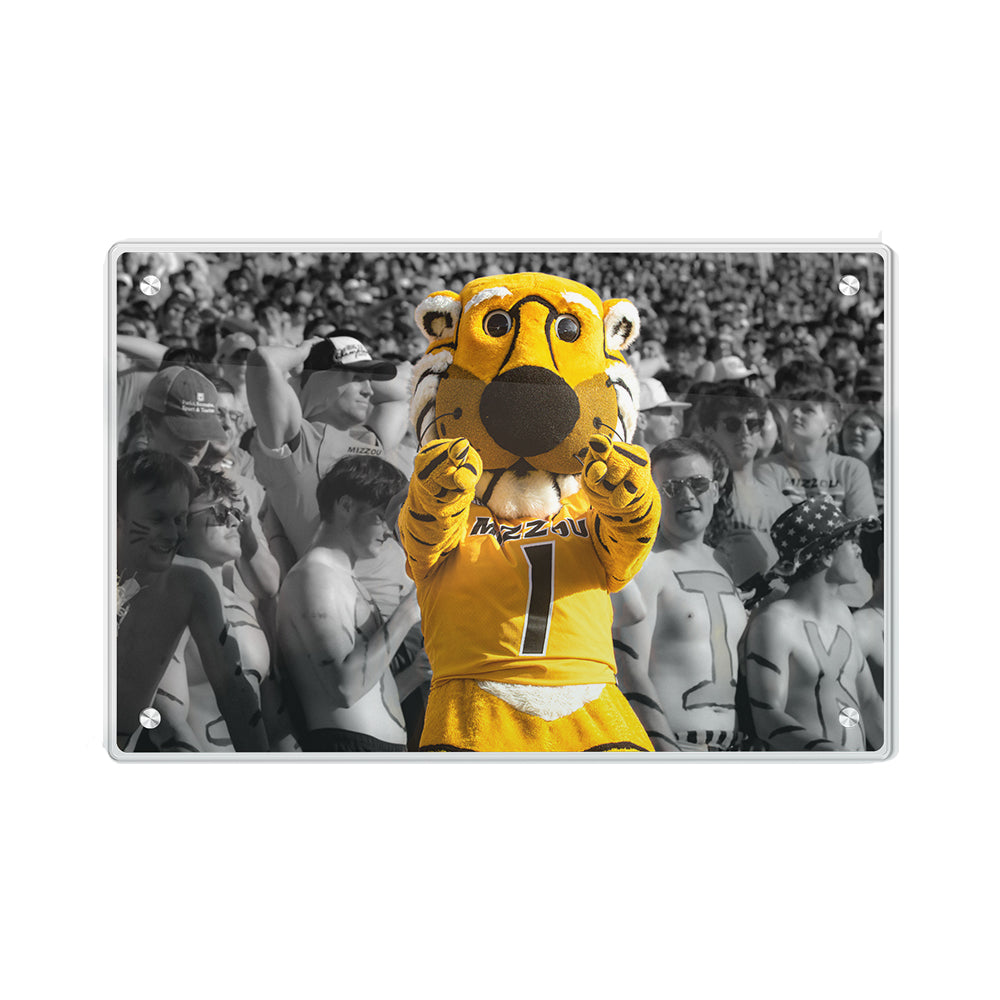 Missouri Tigers - Truman - College Wall Art #Acrylic