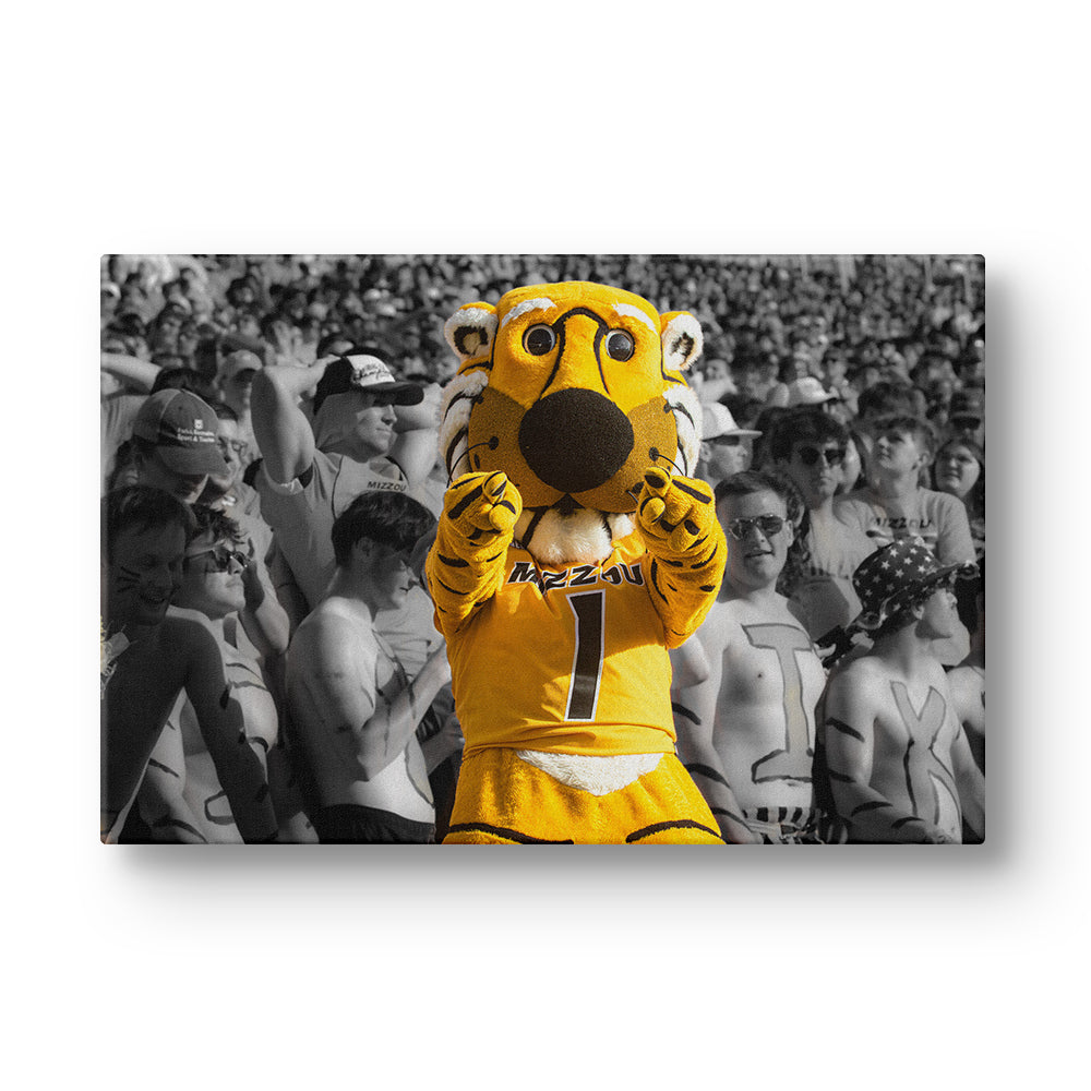 Missouri Tigers - Truman - College Wall Art #Canvas