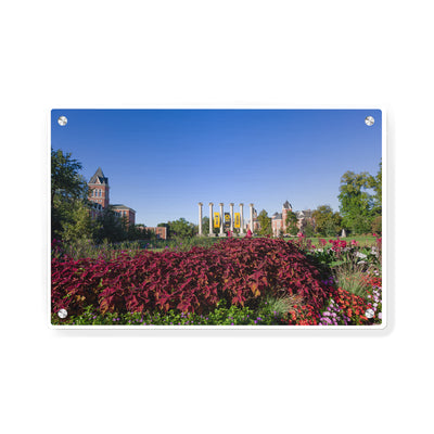 Missouri Tigers - Campus Beauty - College Wall Art #Metal