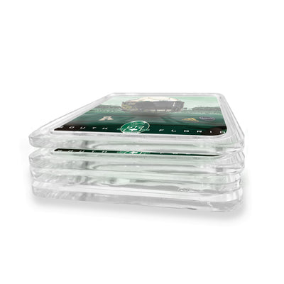 USF Bulls - South Florida Football 25 Years