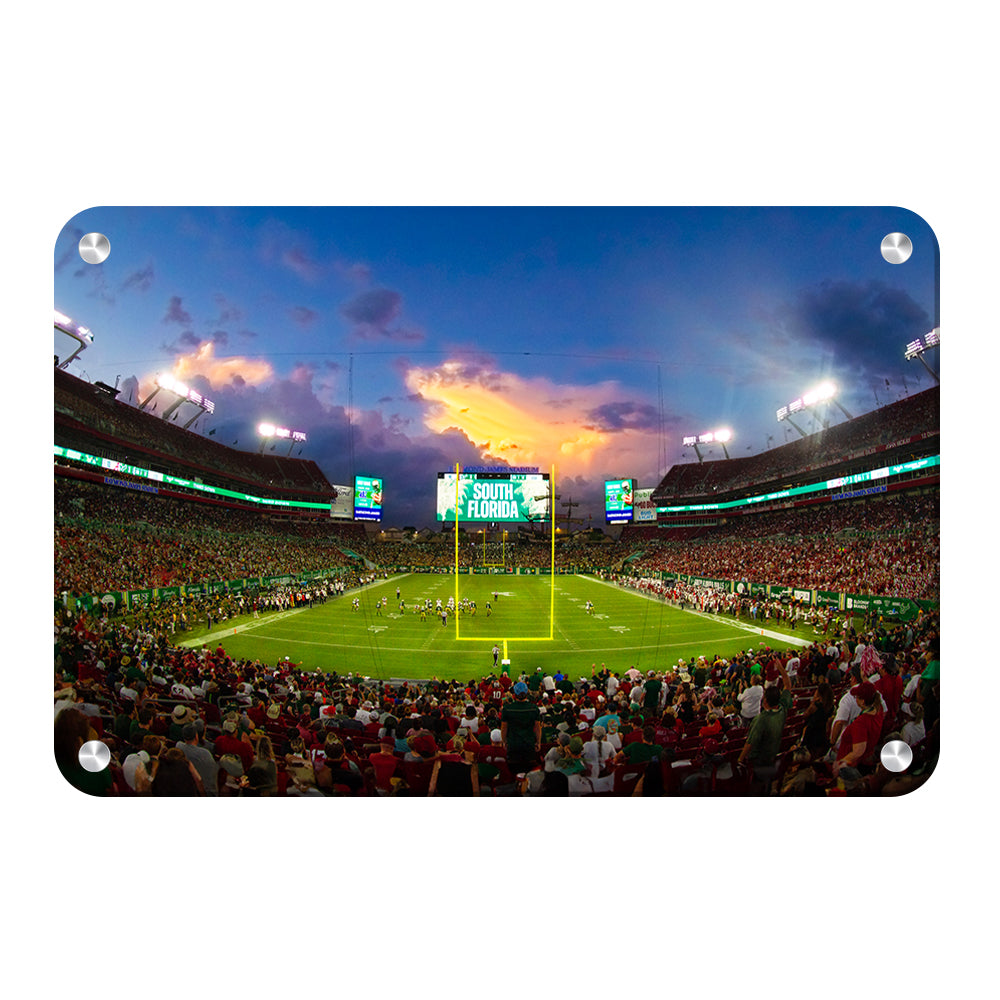 USF Bulls - South Florida Full House - College Wall Art #Canvas