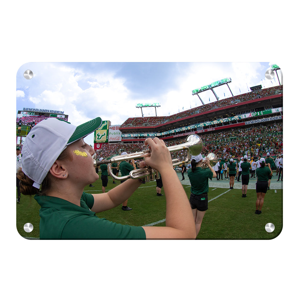 USF Bulls - Herd of Thunder - College Wall Art #Canvas