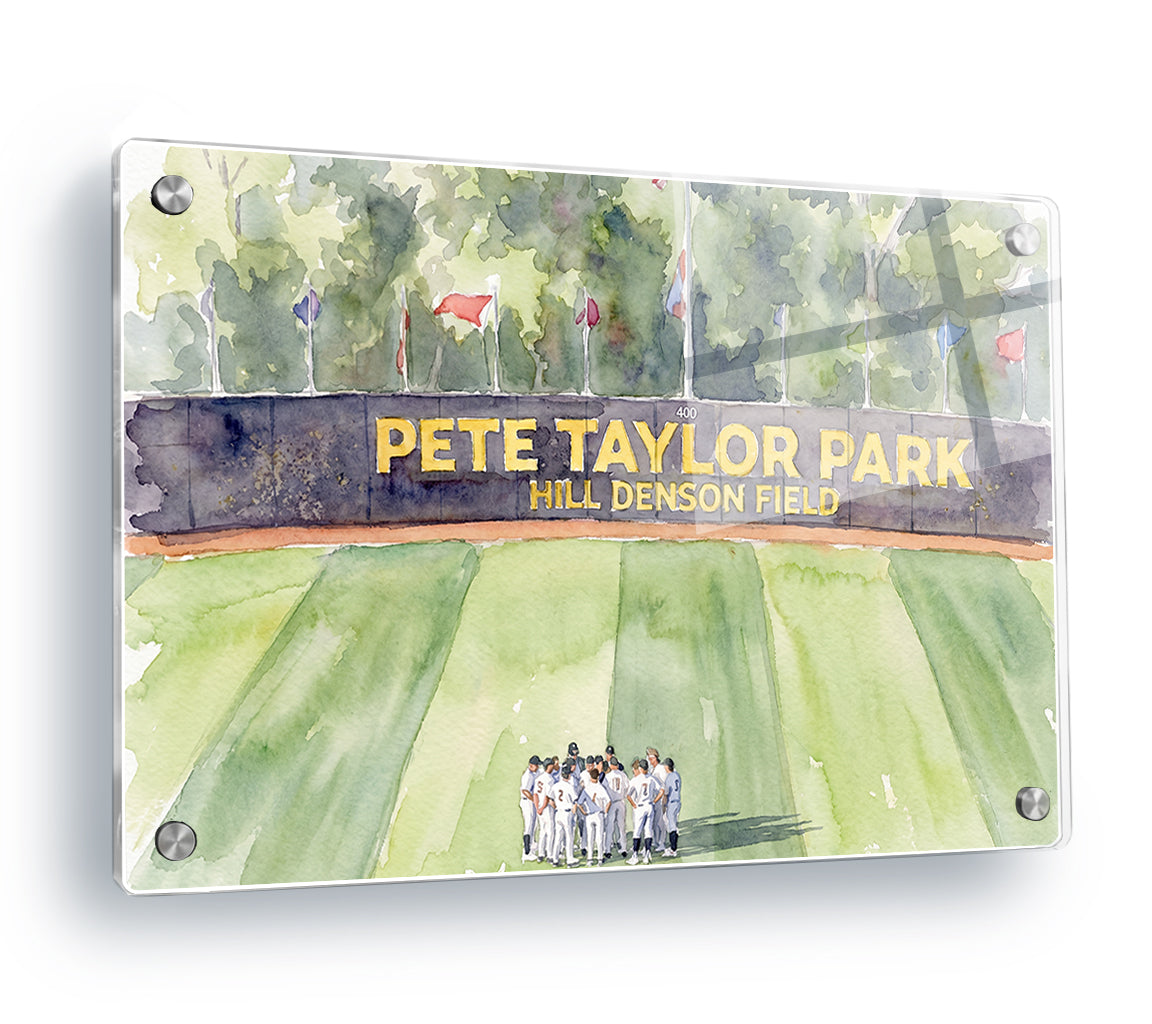Southern Miss Golden Eagles - Pete Taylor Park Watercolor - College Wall Art #Acrylic