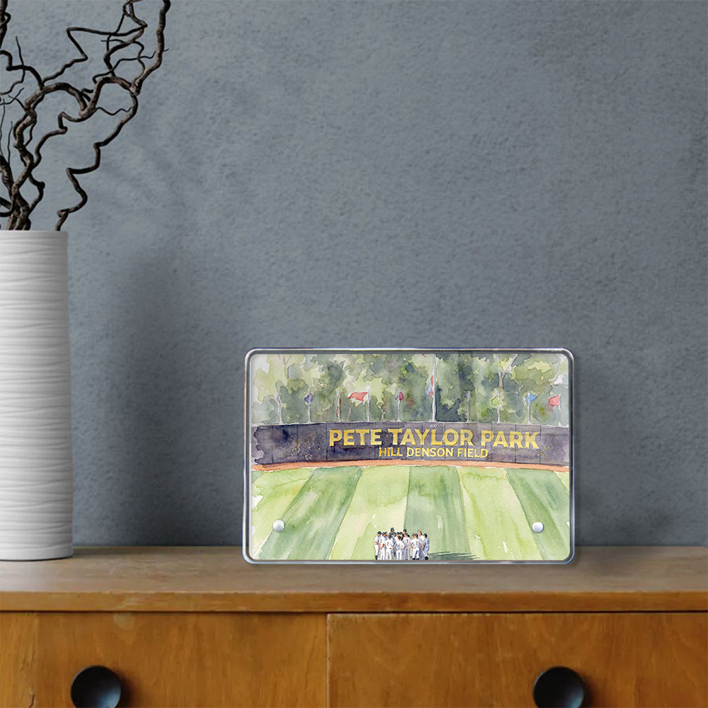 Southern Miss Golden Eagles - Pete Taylor Park Watercolor - College Wall Art #Acrylic Mini