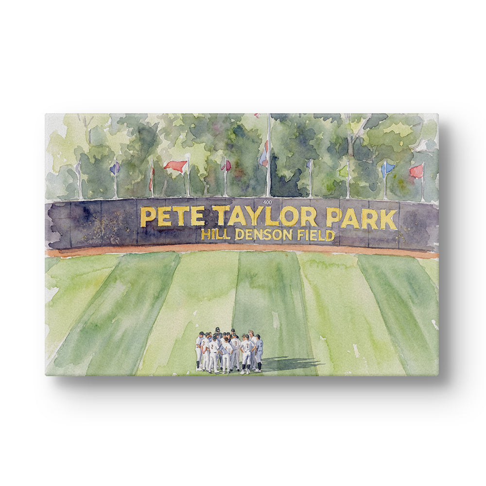 Southern Miss Golden Eagles - Pete Taylor Park Watercolor - College Wall Art #Canvas