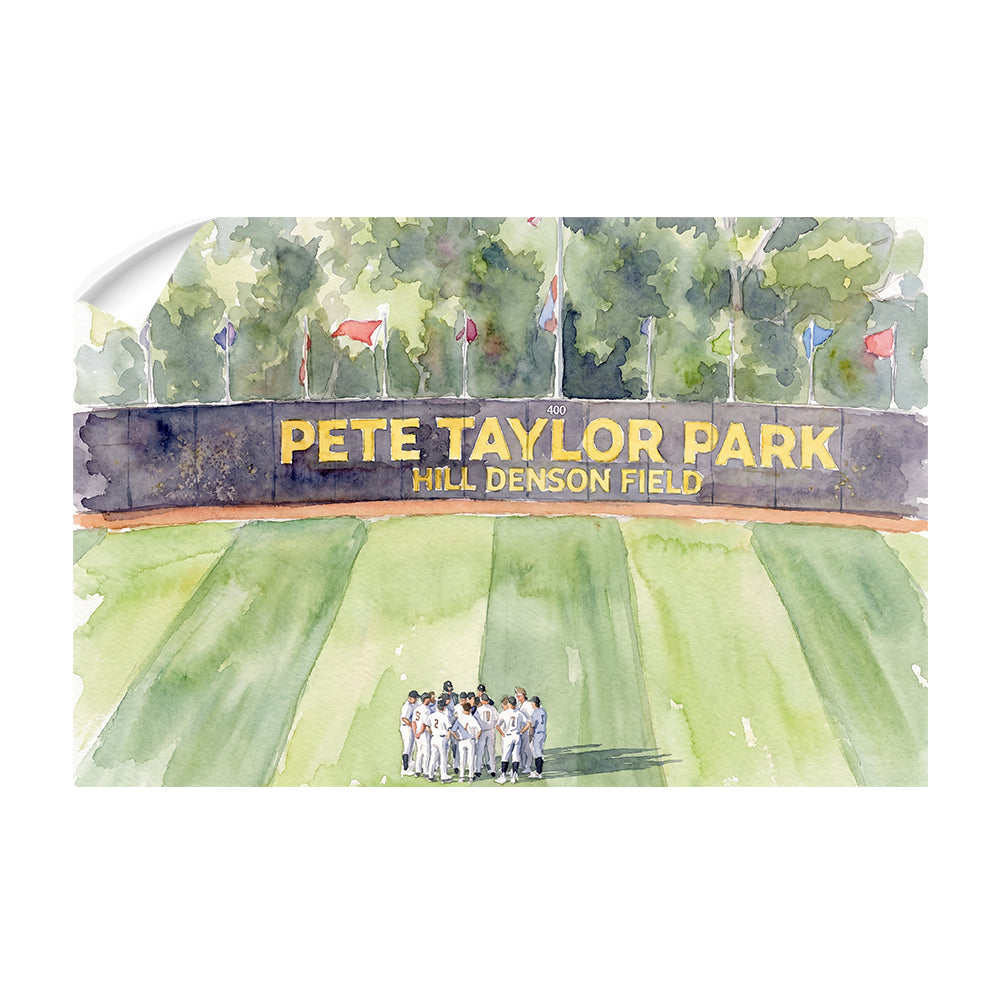 Southern Miss Golden Eagles - Pete Taylor Park Watercolor - College Wall Art #Wall Murals