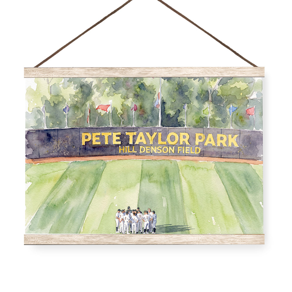Southern Miss Golden Eagles - Pete Taylor Park Watercolor - College Wall Art #Hanging Canvas