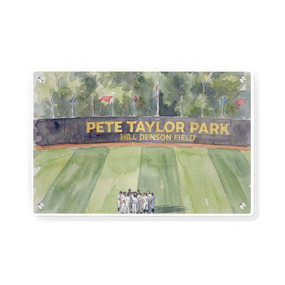 Southern Miss Golden Eagles - Pete Taylor Park Watercolor - College Wall Art #Metal