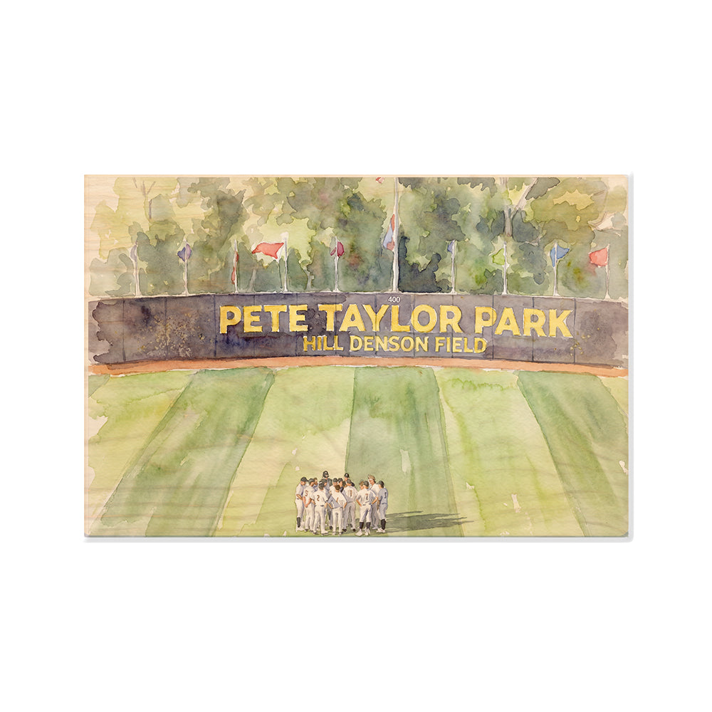Southern Miss Golden Eagles - Pete Taylor Park Watercolor - College Wall Art #Wood