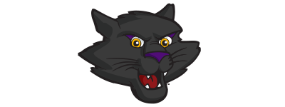 Northern Iowa Panthers