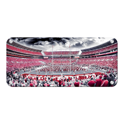 Alabama Crimson Tide - Bryant Denny Monochrome Pano - College Wall Art #Metal