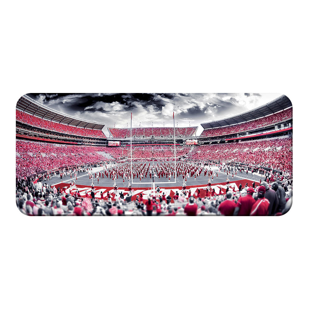 Alabama Crimson Tide - Bryant Denny Monochrome Pano - College Wall Art #PVC