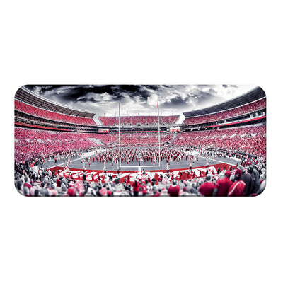 Alabama Crimson Tide - Bryant Denny Monochrome Pano - College Wall Art #PVC