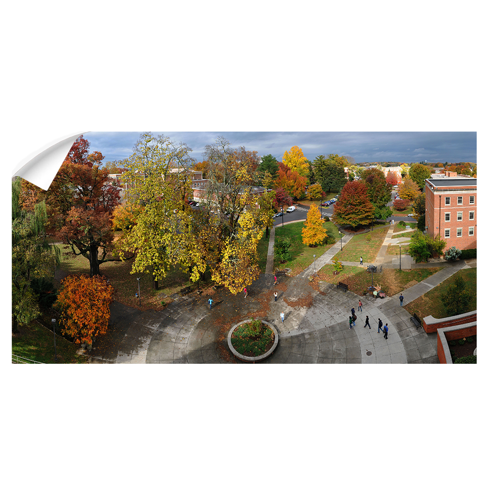 ETSU - Autumn Aerial Panoramic - College Wall Art #Wall Decal