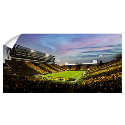 owa Hawkeyes - Kinnick Stadium Paint Pano - College Wall Art #Wall Decal