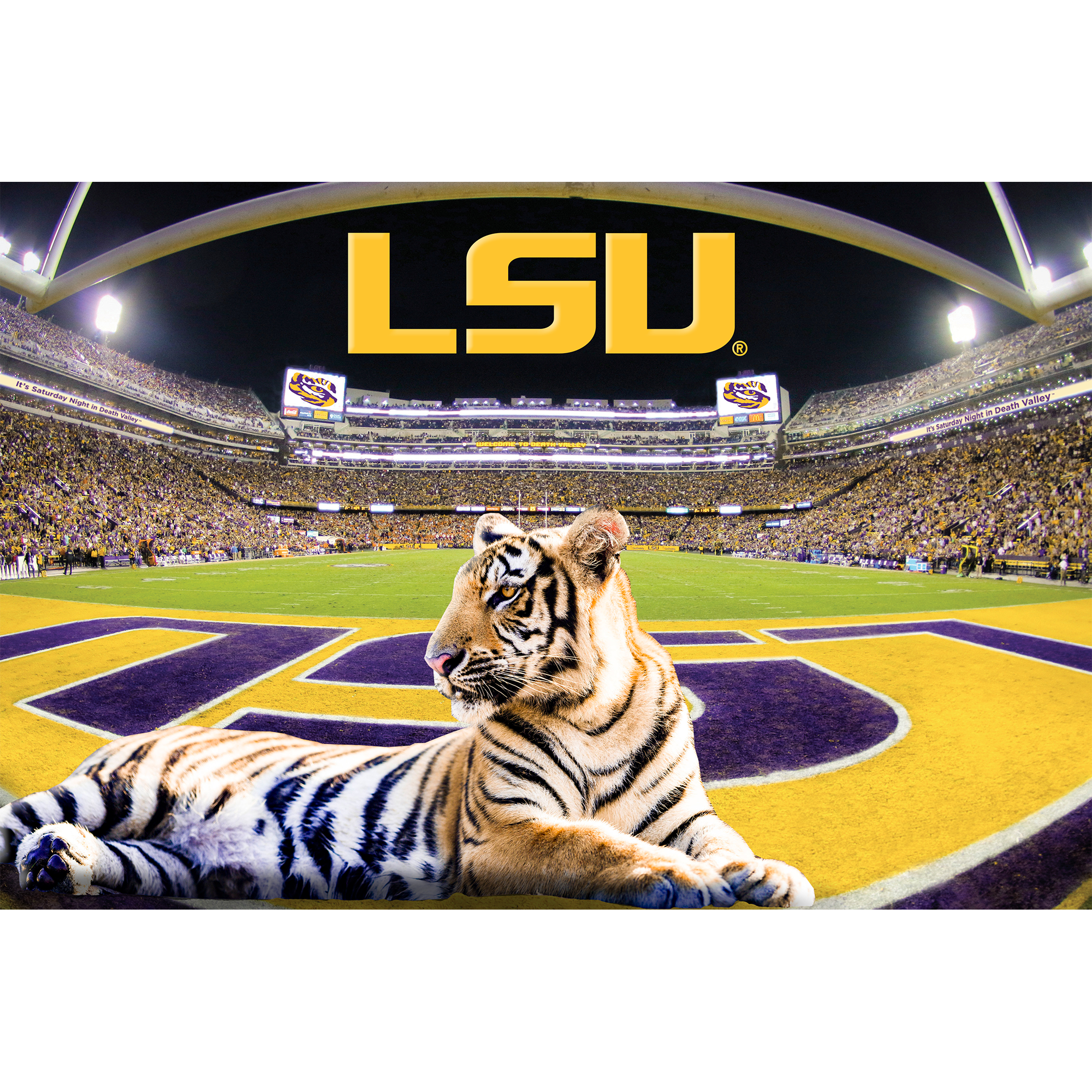 LSU TIGERS - Mike the Tiger VII's Kingdom - College Wall Art #Dimensional