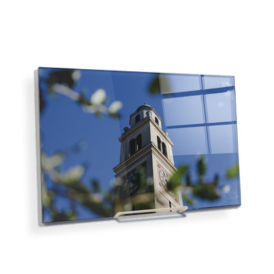 LSU Tigers - Memorial Tower Thru the Trees - College Wall Art #Acrylic Mini