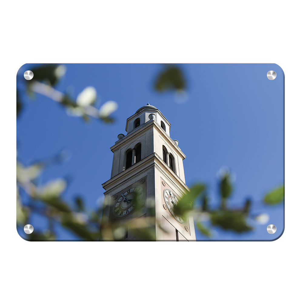 LSU Tigers - Memorial Tower Thru the Trees - College Wall Art #Metal