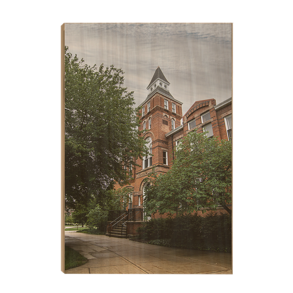 Michigan State - Library Museum - College Wall Art #Canvas