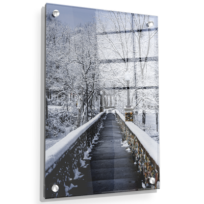 Winter Bridge - College Wall Art#Acrylic