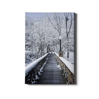 Winter Bridge - College Wall Art#Canvas