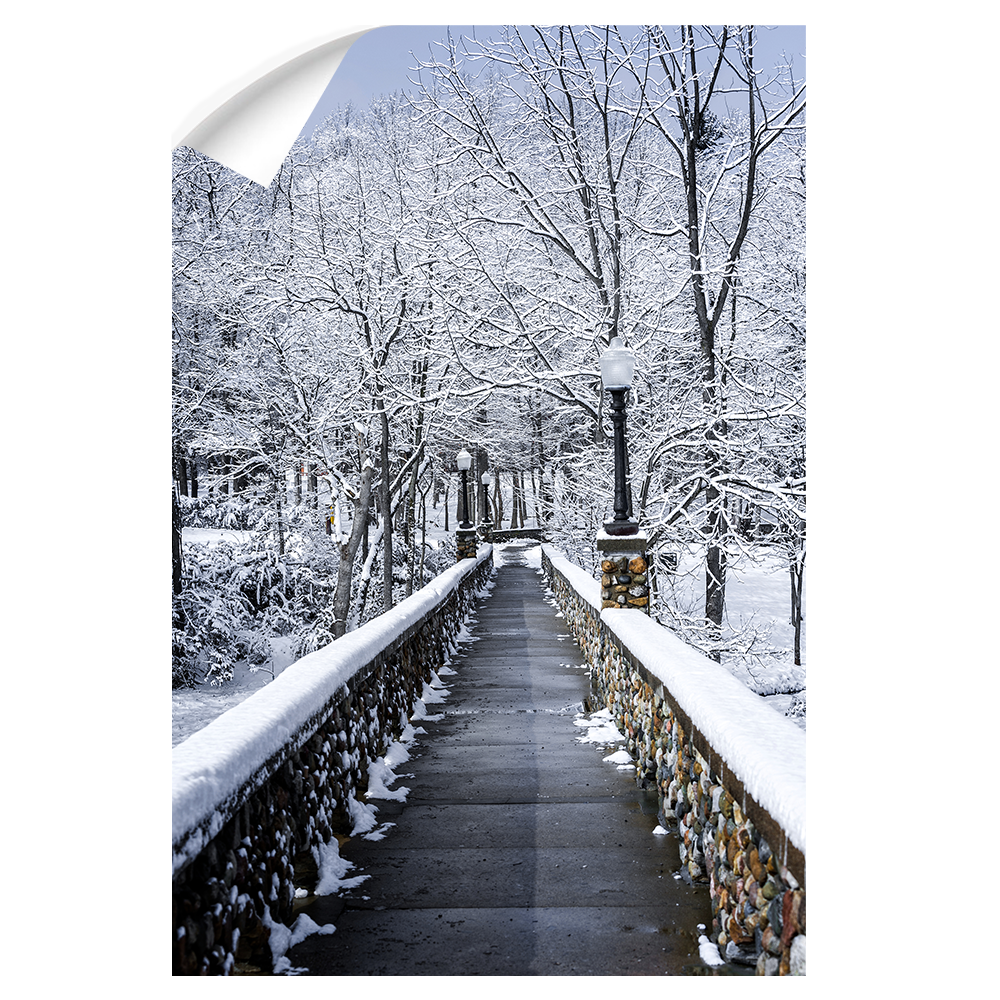 Winter Bridge - College Wall Art#Wall Decal