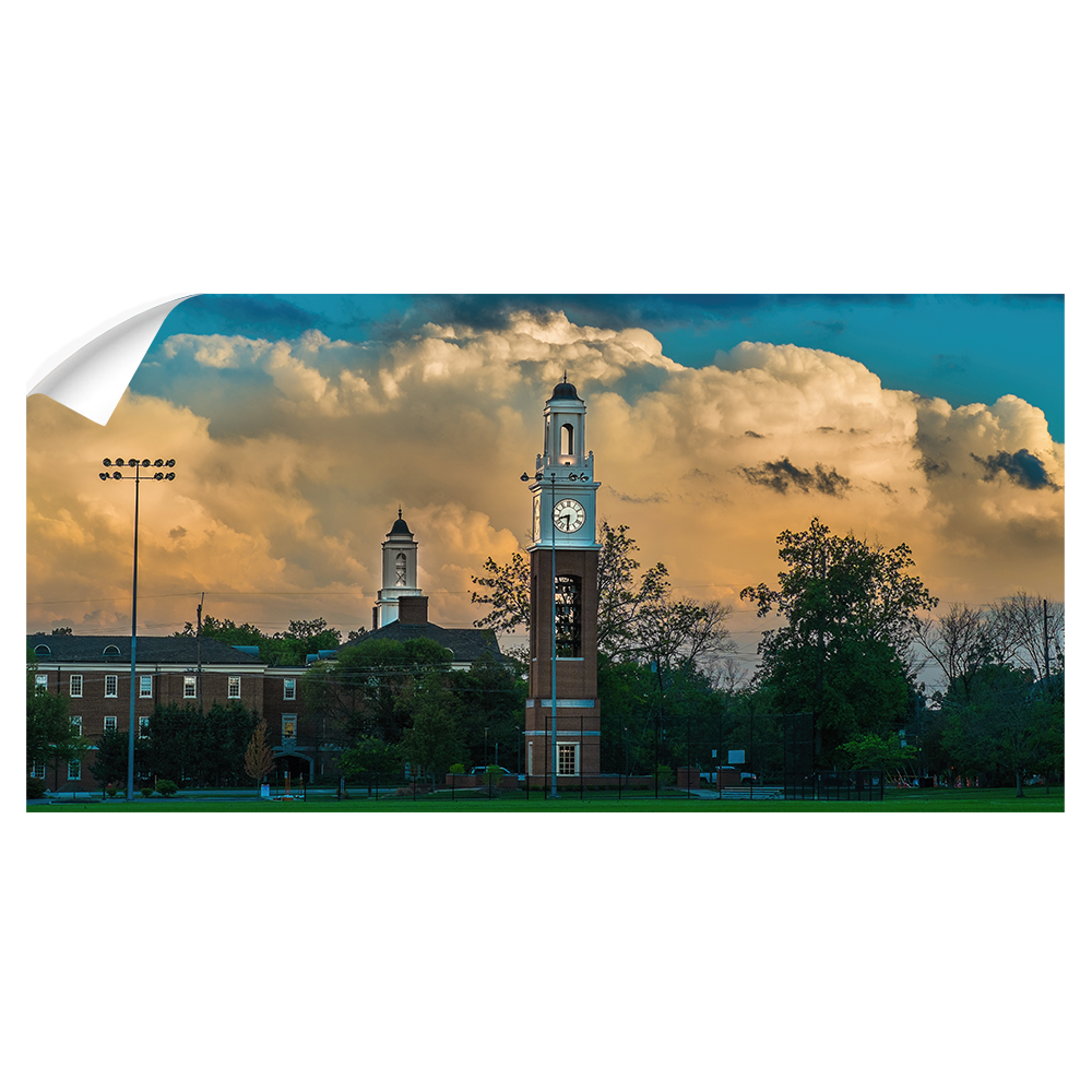 Miami RedHawks<sub>®</sub> - Campus Beauty Pano - College Wall Art#Wall Decal