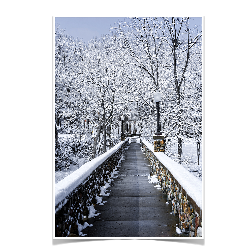 Winter Bridge - College Wall Art#Poster