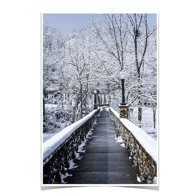 Winter Bridge - College Wall Art#Poster