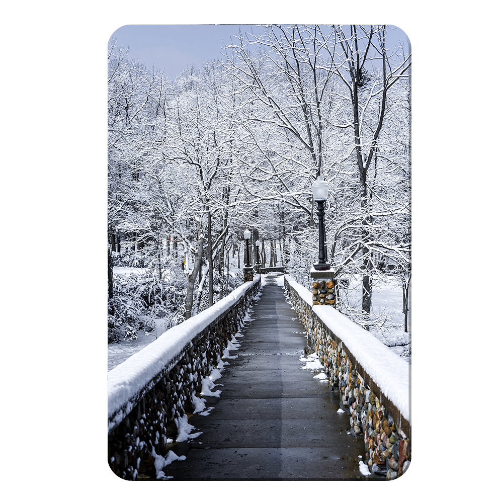 Winter Bridge - College Wall Art#PVC