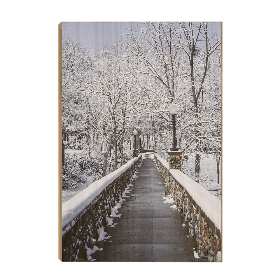 Winter Bridge - College Wall Art#Wood