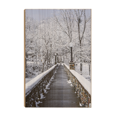 Winter Bridge - College Wall Art#Wood