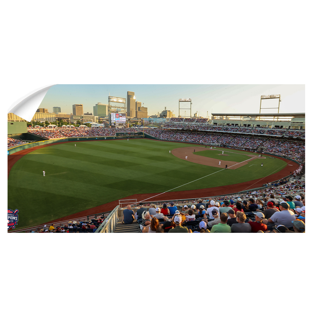 Ole Miss Rebels - Charles Schwab Aerial Panoramic - College Wall Art #Wall Decal