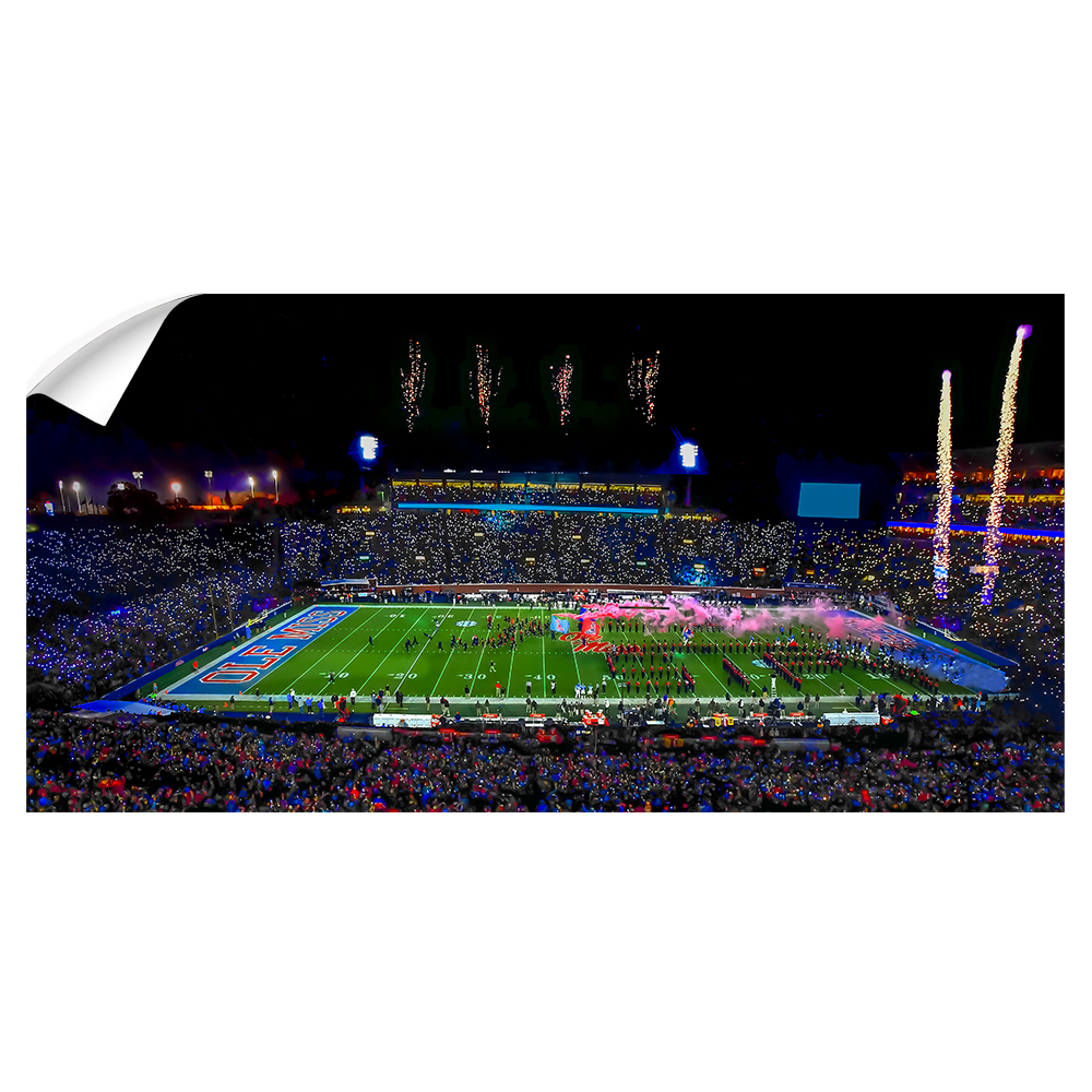 Ole Miss Rebels - Ole Miss Light Show Panoramic - College Wall Art #Wall Decal