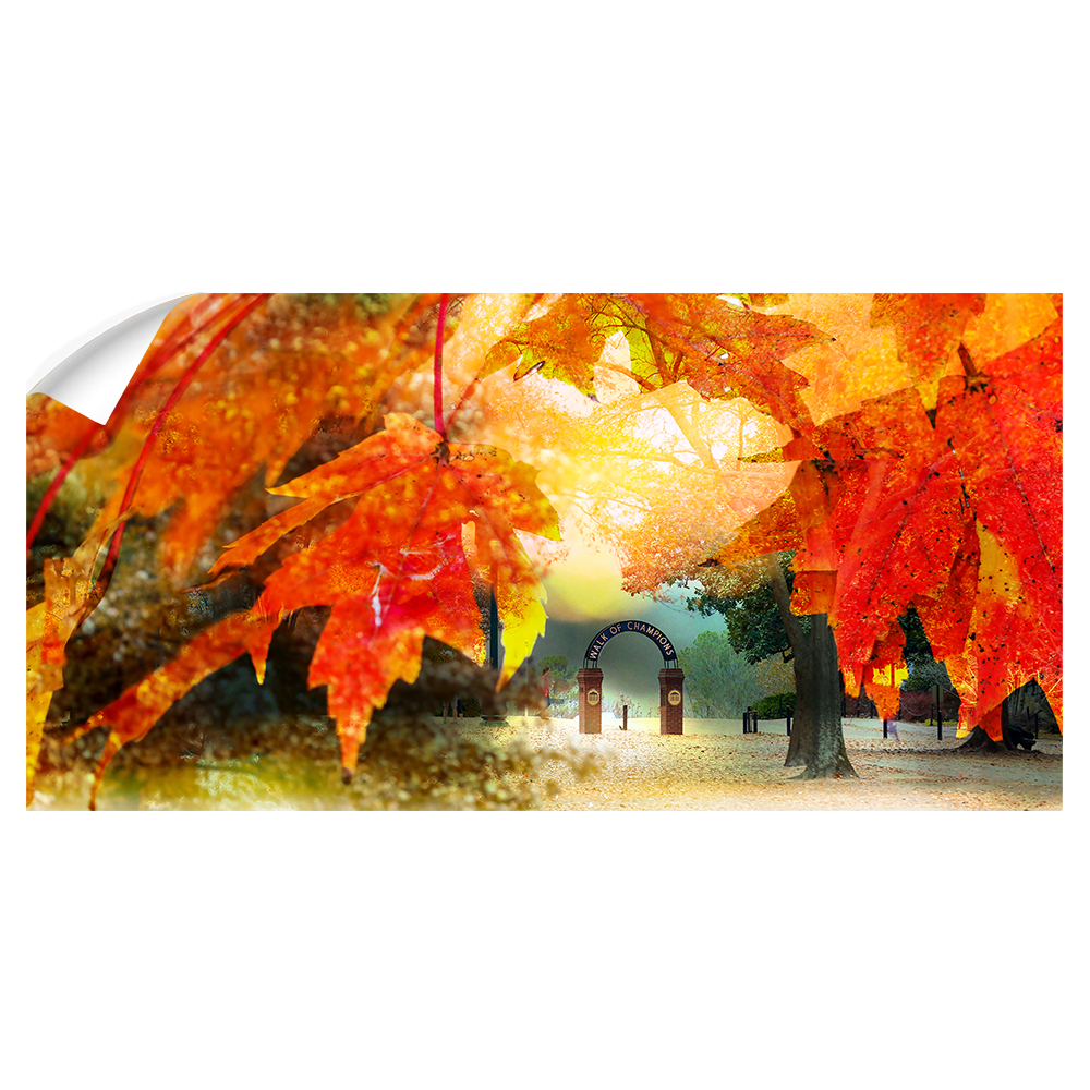 Ole Miss Rebels - Autumn Walk of Champions Panoramic - College WALL Art #Wall Decal