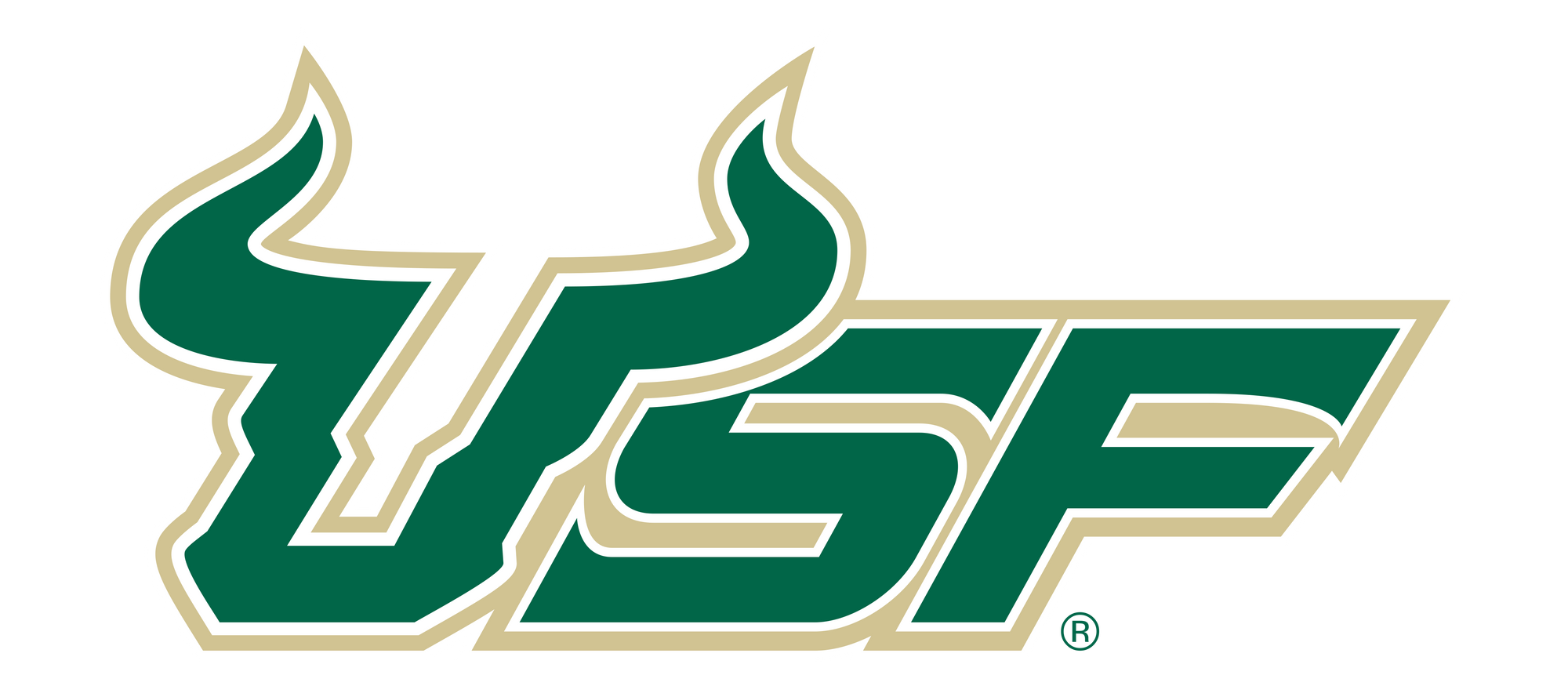 USF Bulls - USF Single Layer Dimensional