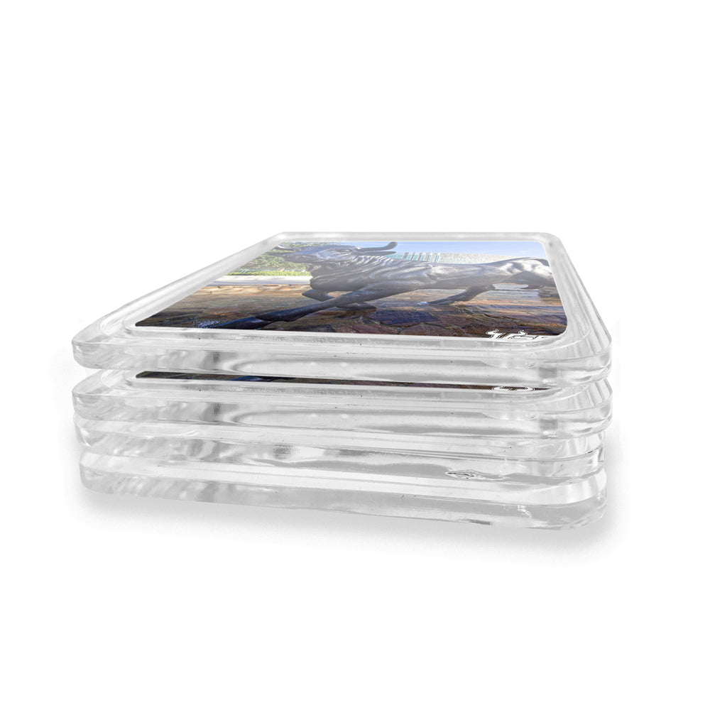 USF Bulls - Marshall Student Center Drink Coaster