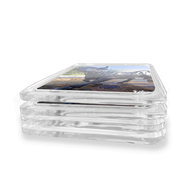 USF Bulls - Marshall Student Center Drink Coaster