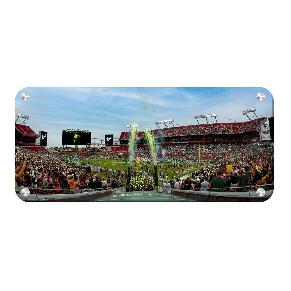 USF Bulls - Enter USF Bulls Panoramic - College Wall Art #Metal