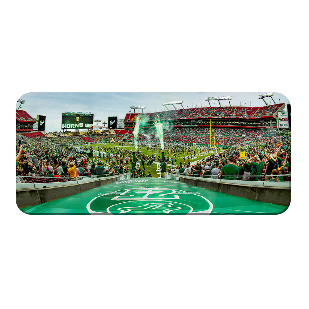 USF Bulls - Horns Up Grand Entrance Panoramic - College Wall Art #Canvas