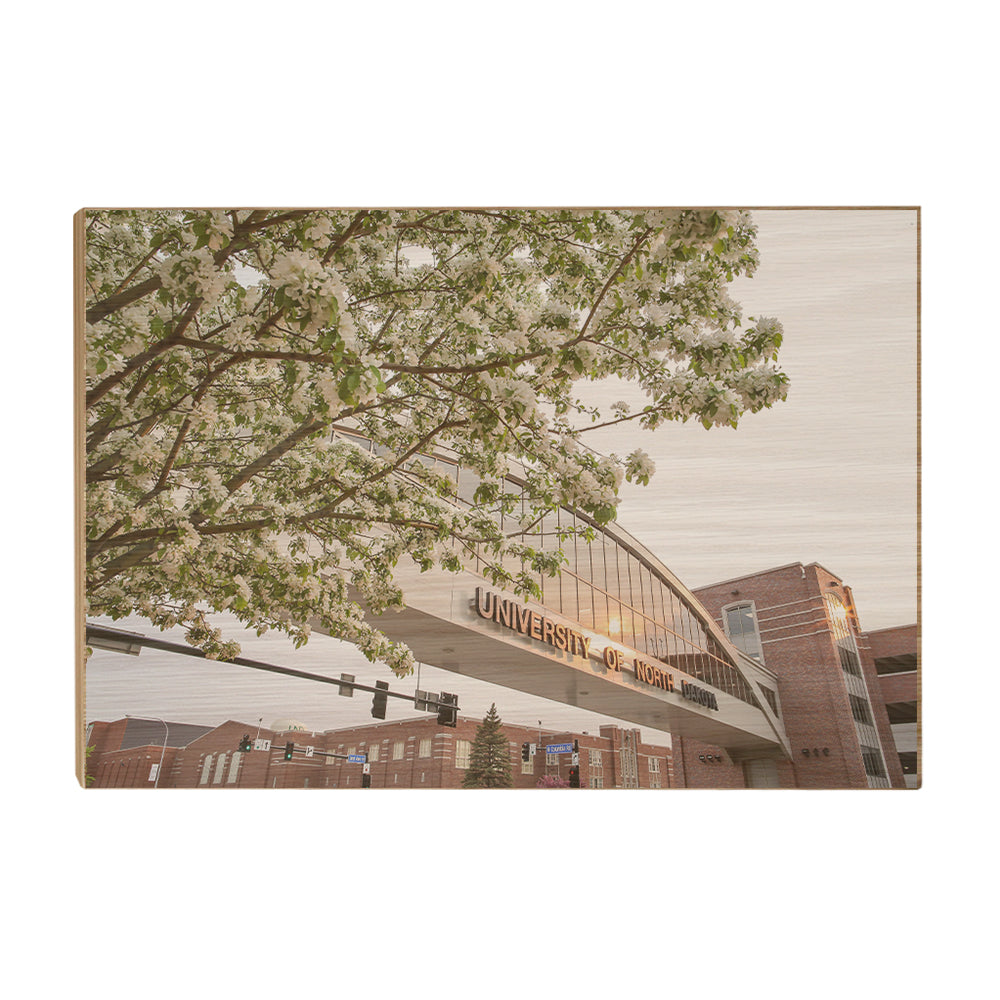 North Dakota Fighting Hawks - University of North Dakota Cherry Blossoms - College Wall Art #Canvas