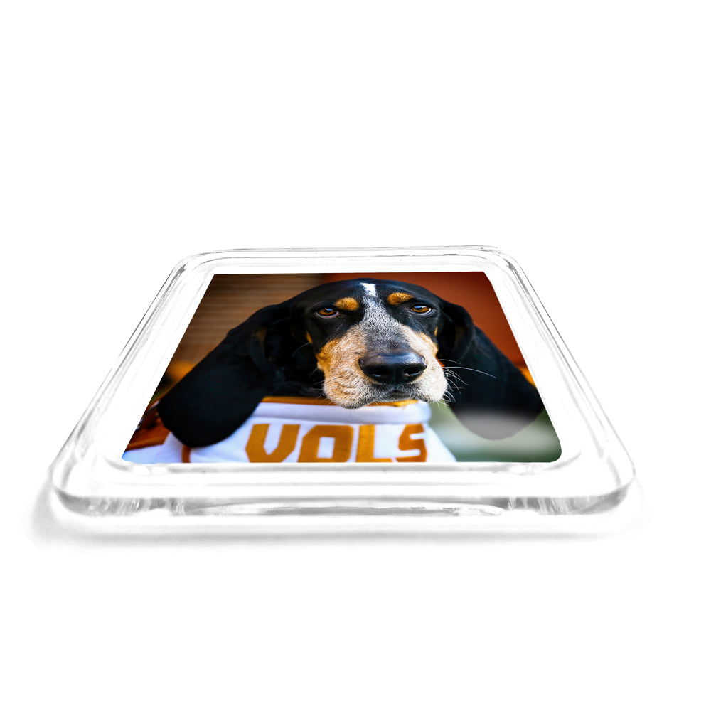 Tennessee Volunteers - Smokey Vols 2 Drink Coaster