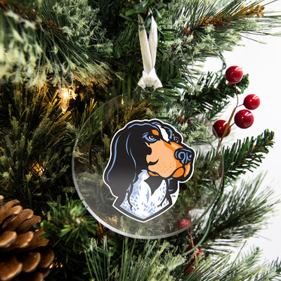 Tennessee Volunteers - Smokey's Head Ornament & Bag Tag