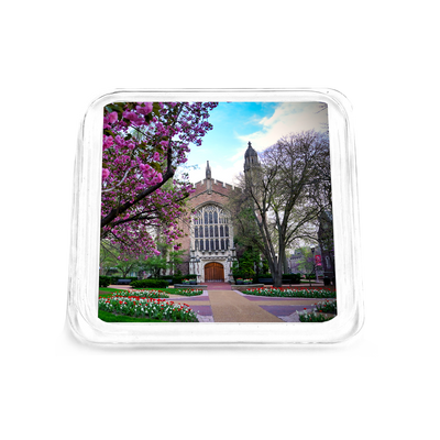 WashU - Cherry Blossoms Drink Coaster