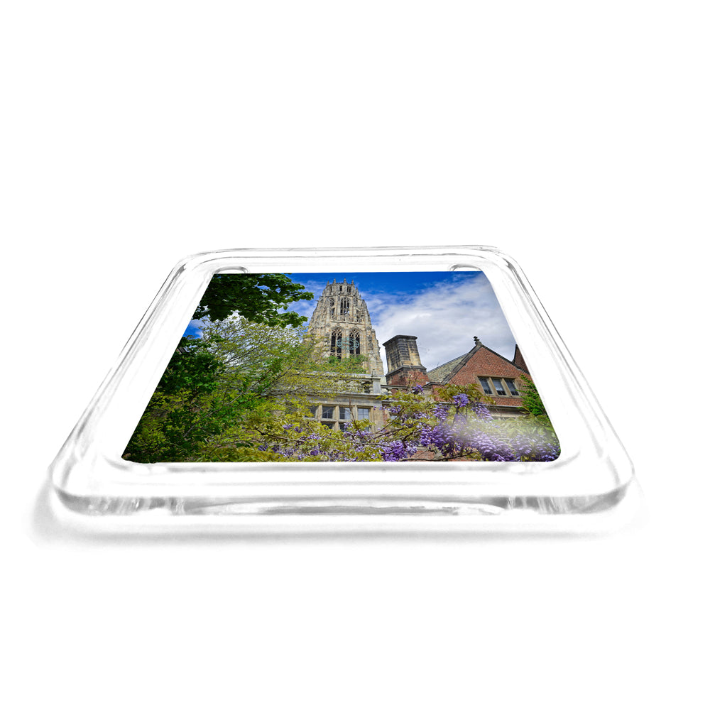 Yale Bulldogs - Springtime Harkness Tower Drink Coaster