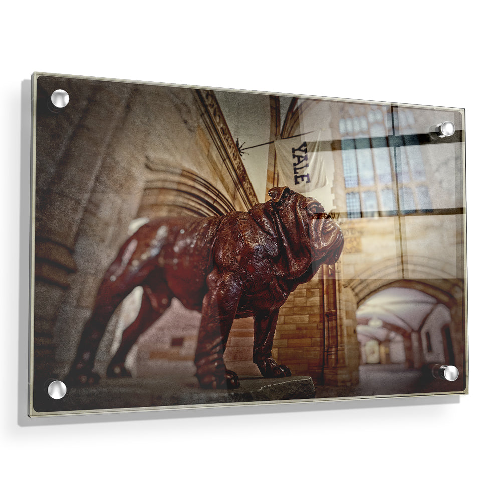 Yale Bulldogs - Yale's Hansome Dan - College Wall Art #Acrylic