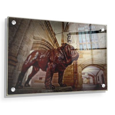 Yale Bulldogs - Yale's Hansome Dan - College Wall Art #Acrylic